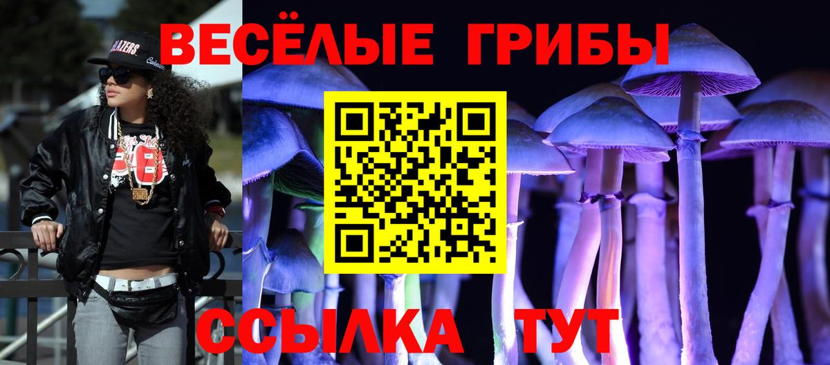Псилоцибиновые грибы Cubensis  Вход с VPN  Галлюциногенные грибы мицелий  Гай 