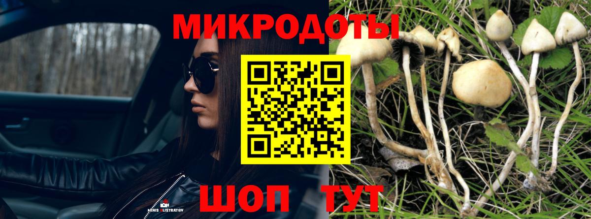 Псилоцибиновые грибы Cubensis Гай